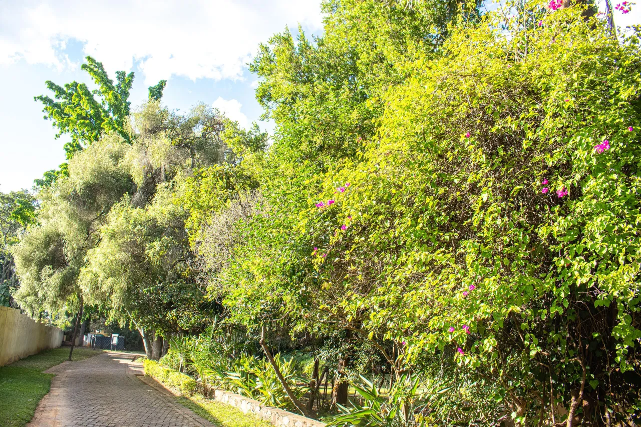 FOR A BRIGHTER DAY image